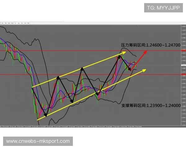 体育科技公司开发球员追踪系统,每秒60帧捕捉29个身体点位量化动作。